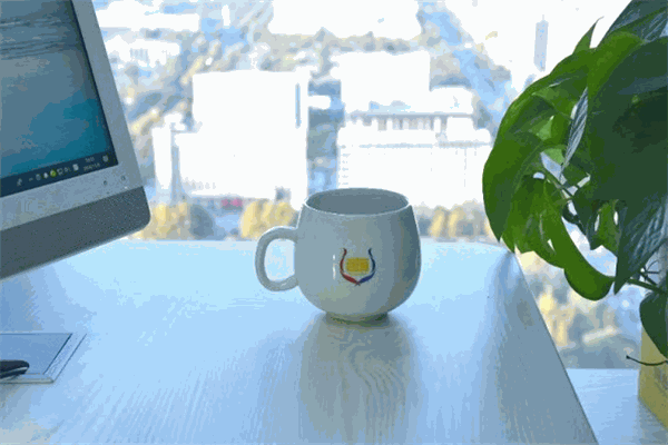 森合律师事务所